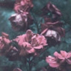 Meet your Posher, Mario